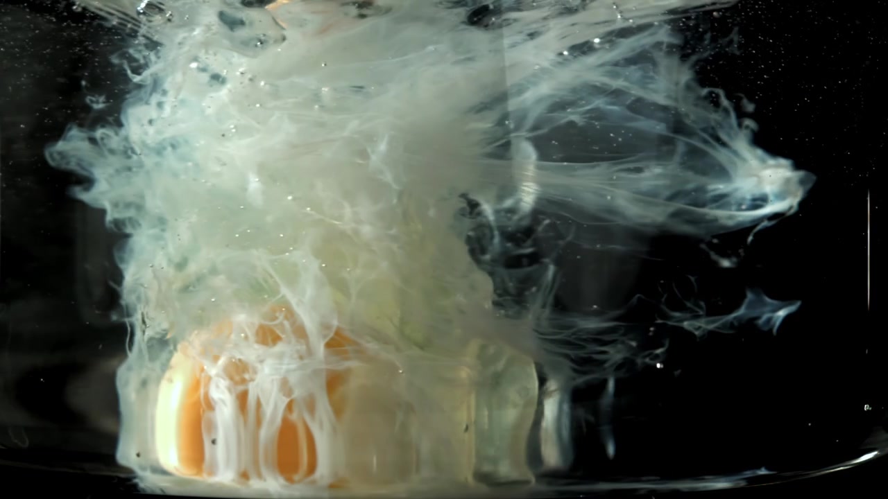 Raw Egg Yolk and White Spreading in Water on Black Background