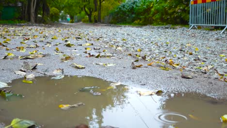 close up of a brown puddle with slow motion rain drops falling on it in autumn time at laagri or pääsküla estonia road construction site. gray gravel on the ground and green large oak tree in the back
