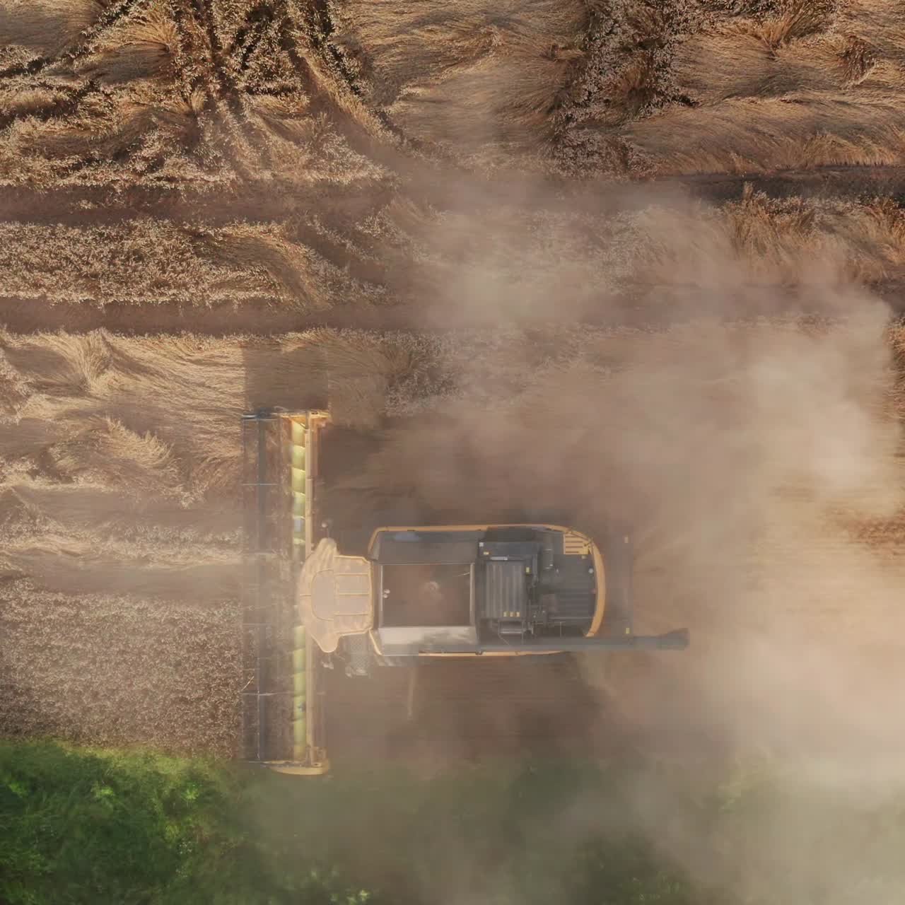 Working harvester combine in the yellow field. Mowing harvester machine hardly seen in the clouds of dust. Birds' eye perspective