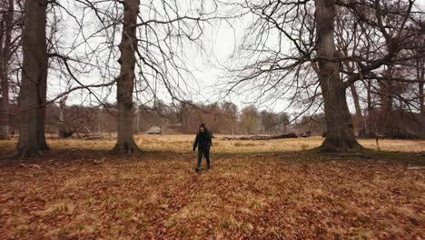 Una-Mujer-Caminando-En-Dyrehaven--Deer-Park-Copenhague-1