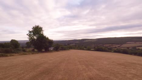 Volando-A-Través-De-Un-Campo-Cálido-Y-Seco