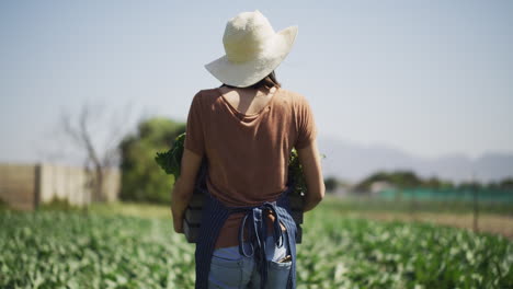 estos son los frutos de su trabajo.