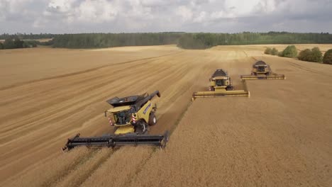 camera flying over a row of combine harvesters collecting wheat on a beautiful golden field