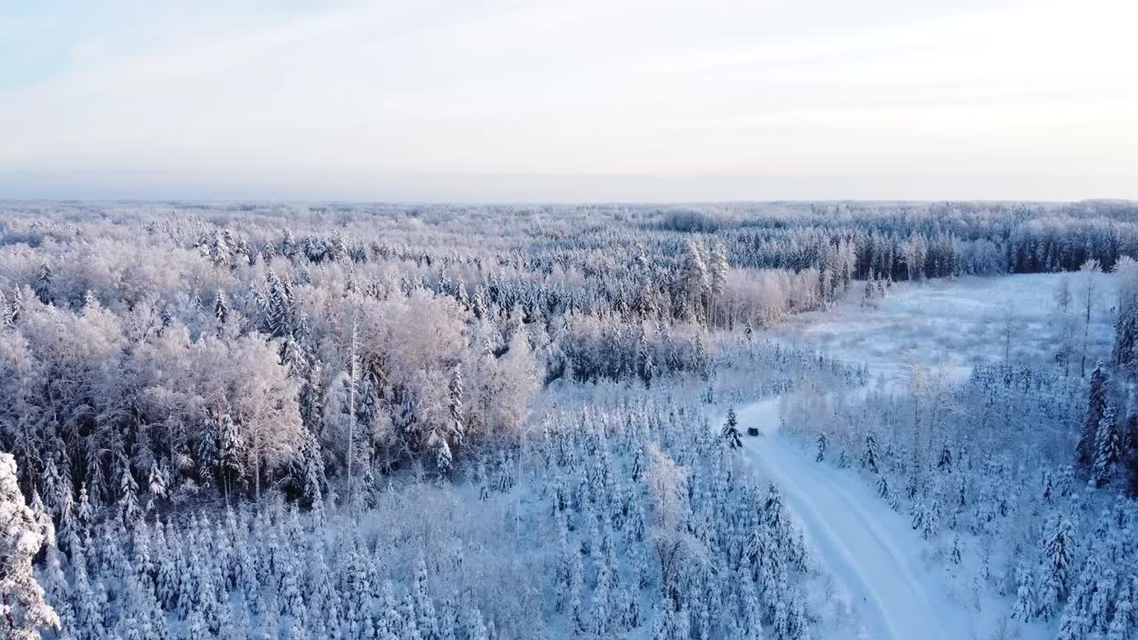 얼어붙은 나무 꼭대기의 드론 촬영. 아름다운 겨울 숲.