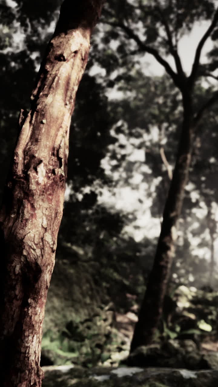 Da vicino un tronco d'albero in una foresta
