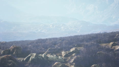 misty mountain landscape