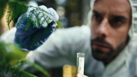 biólogo tomando una muestra de una hoja