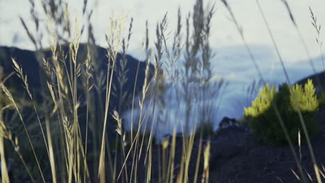 Focus-pull-to-from-cloud-covered-valley-to-grass-blowing-in-wind-on-mountain