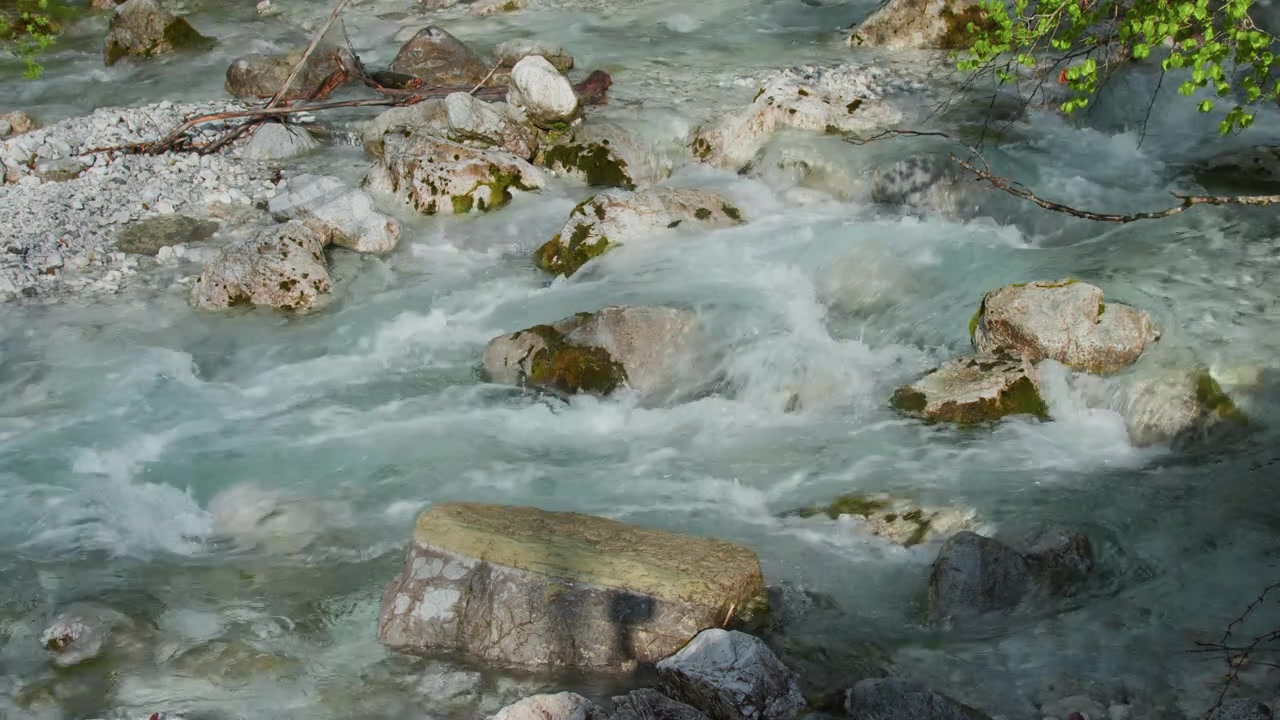 Ruscello, rocce muschiose, sponda, acqua che scorre, ripresa statica ravvicinata. Vista dettagliata di un ruscello incontaminato che scorre impetuoso su pietre verdi dalla riva.