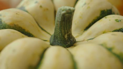 close up of a small green and white gourd