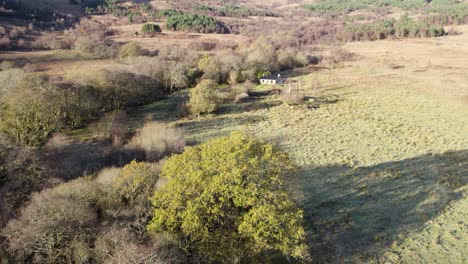 Drohnenaufnahmen-Aus-Der-Luft,-Die-Sich-Im-Winter-Langsam-Hinter-Einer-Alten-Eiche-Erheben,-Um-Eine-Abgelegene-Schottische-Schutzhütte,-Felder,-Lange-Schatten-Und-Einen-Bewaldeten-Hügel-Im-Sonnenschein-Zu-Enthüllen