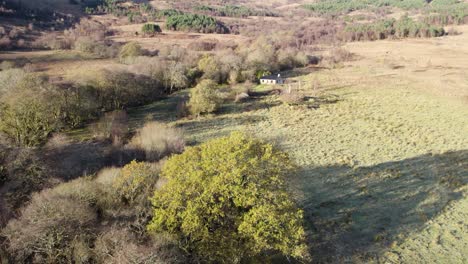 aerial drone footage rising slowly from behind an old oak tree in winter to reveal a remote scottish bothy , fields, long shadows and a forested hillside in the sunshine