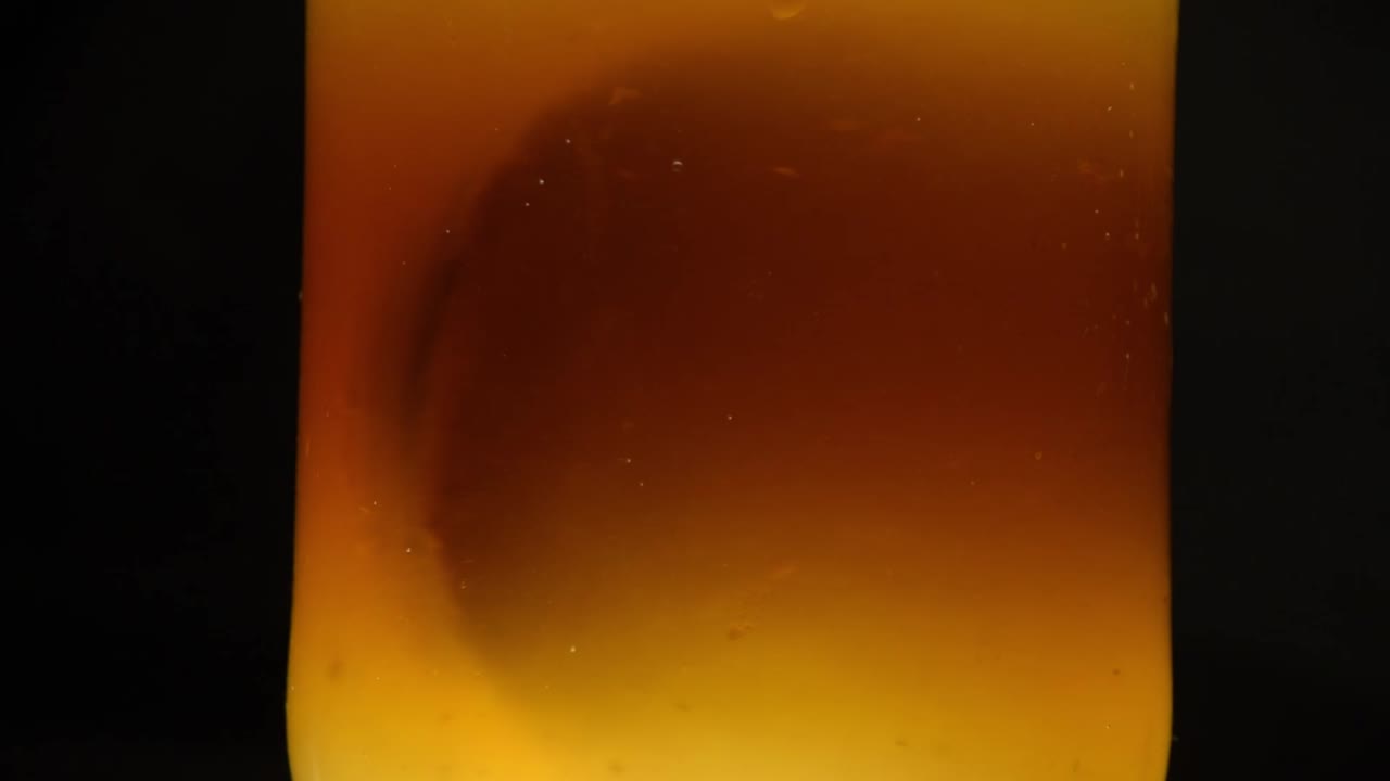 kombucha scoby luz en un frasco fondo oscuro