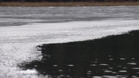 lake starting to freeze in winter.