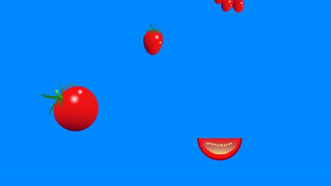 falling tomatoes group graphic elements animation, seamless loop, blue screen chroma key