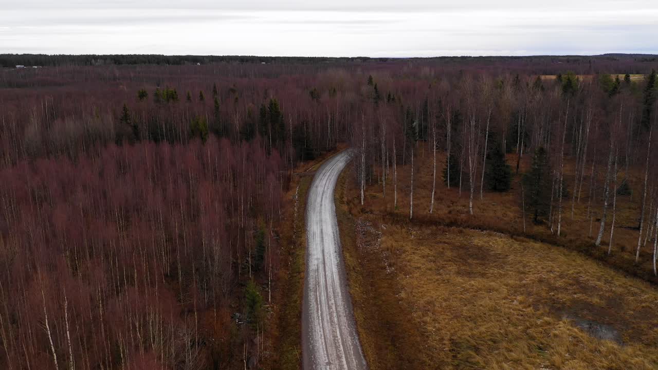 vista aérea de la carretera con algo de nieve entrando en el bosque