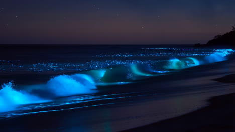 bioluminescent waves on a night beach