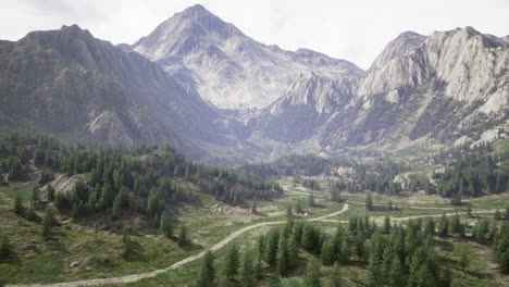 stunning mountain landscape features green forest and winding path