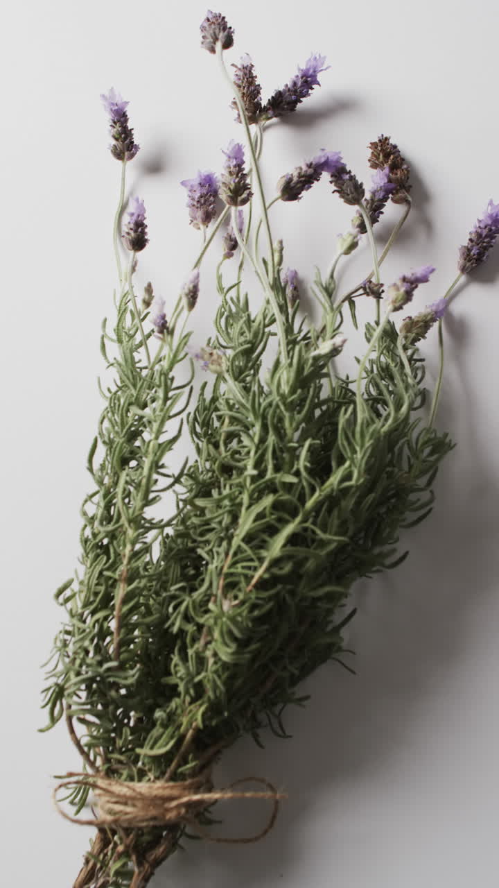 Vertical video of lavender flowers with copy space on white background