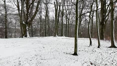 Schneit-Draußen-In-Einem-Schwedischen-Park