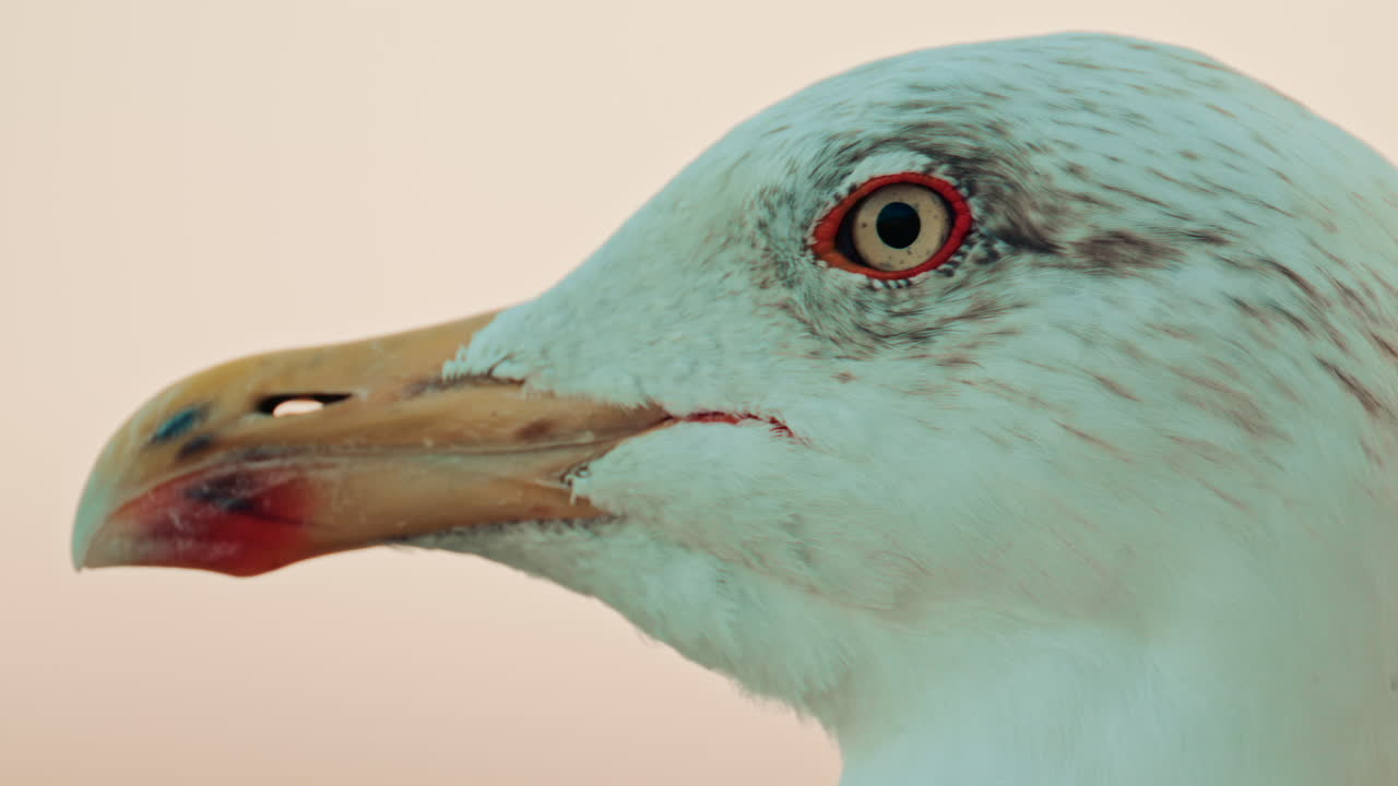 Abstract reflection of colorful boat hulls rippling across the surface of the water, creating a painterly effect