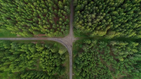 aerial bird's eye view over a crossroad of two roads in the middle of a dense green forest at daytime