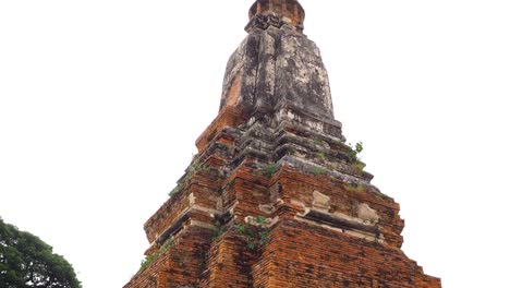 ancient temple tower with lush greenery