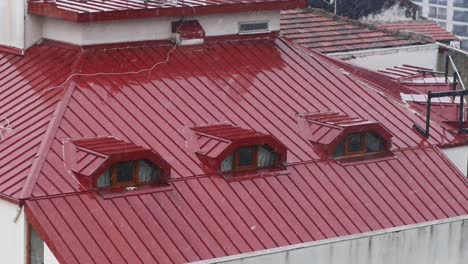 red metal roof with skylights in the snow