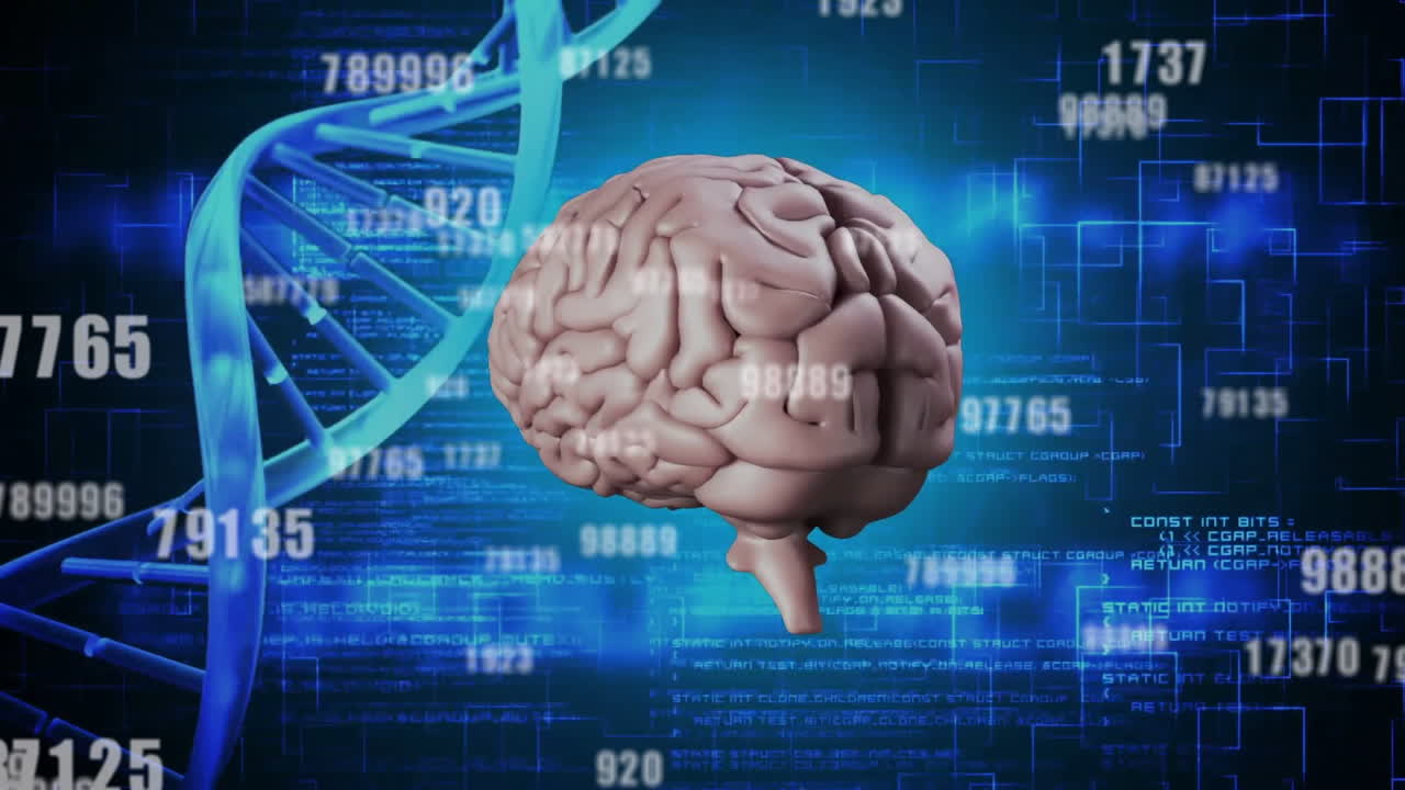 디지털 데이터 프로세싱의 애니메이션 - dna 스트랜드와 인간의 뇌를 통해