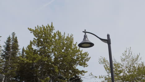 panning shot of lamp post during summer