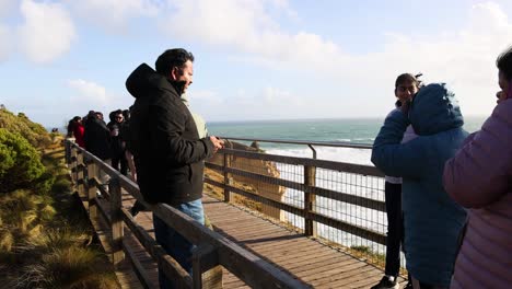 group of people admiring ocean from lookout