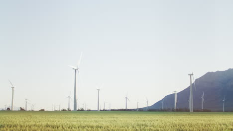 General-view-of-wind-turbines-in-countryside-landscape-with-cloudless-sky