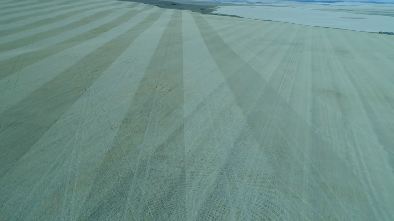 Upon revealing crop field, social icons materializing, counts shifting, visualizing engagement data