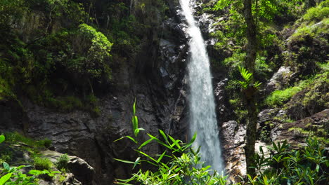 Cerca-De-La-Cascada-Ta-Gu-En-Su-Exuberante-Paisaje-Forestal