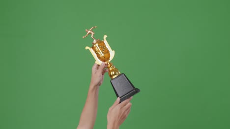 hands holding a golden trophy