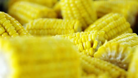 Close-up-of-corns