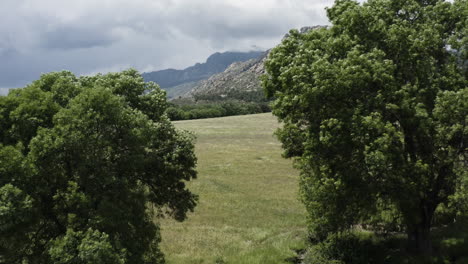 Dramatischer-Drohnenflug-Durch-Die-Bäume,-Um-Die-Sierra-De-Guadarrama-Gebirgszüge-Im-Pedriza-Nationalpark-Spanien-Zu-Enthüllen