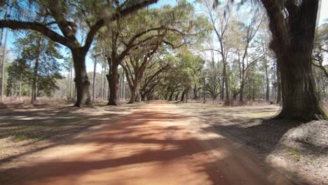backcountry road