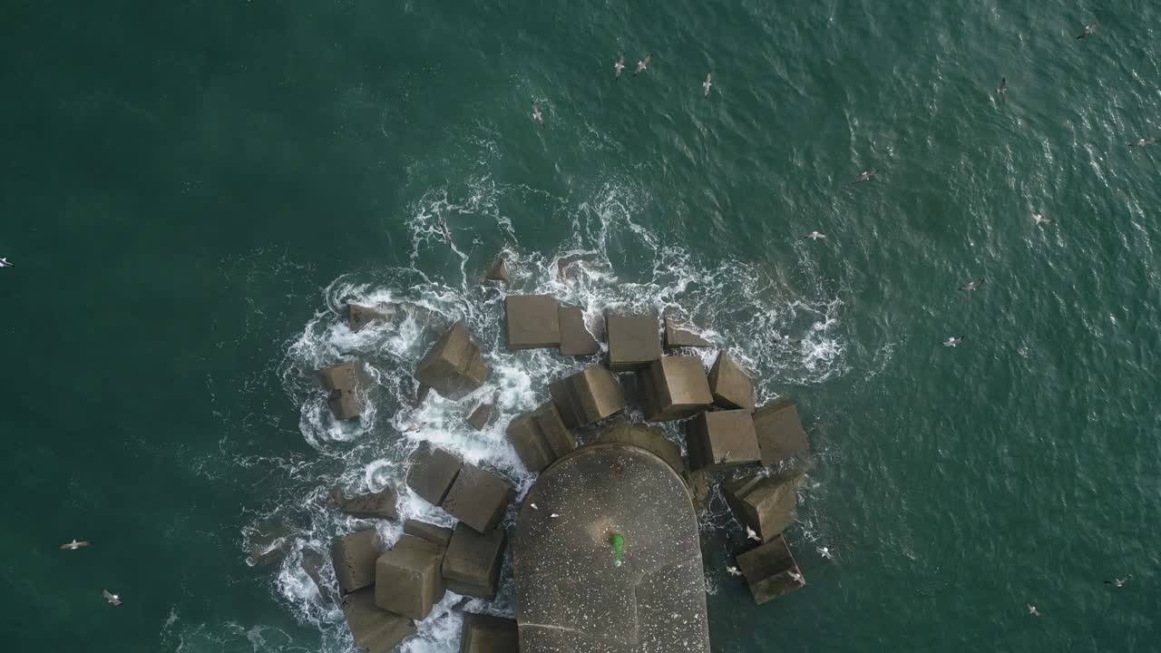 Måger flyver over havbølger, der bryder mod en bølgebryder.