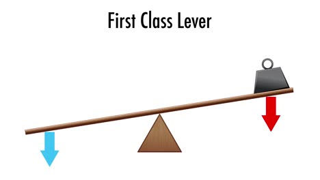 animation demonstrating a first class lever in motion.