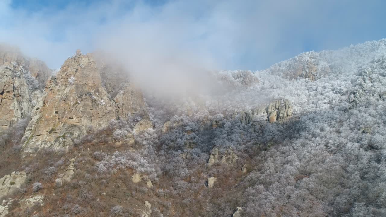 안개로 얼어붙은 산꼭대기