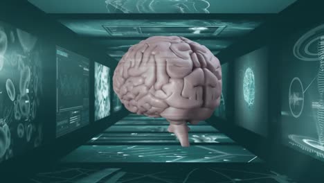 animación del cerebro humano girando sobre las pantallas de las exploraciones mediales
