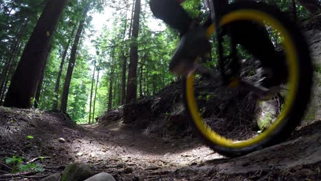 mujer montando un monociclo en el bosque 4k