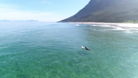 un hombre remando mar adentro en su tabla de surf en aguas claras en un brillante día de verano