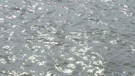 el agua del ganga ha estado fluyendo así durante siglos.