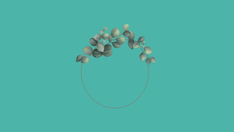 animación de flores girando en movimiento hipnótico sobre un fondo verde
