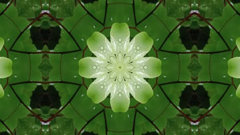 mandala verde con patrón de caleidoscopio en el fondo