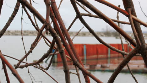 Rusted-metal-garbage-barge-in-the-water-behind-the-woodsy-shore