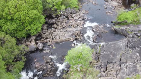 black river stream with rapids surrounded with green lush forest and aerial footage