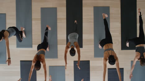 above view yoga class healthy women practicing warrior pose enjoying fitness lifestyle exercising in studio